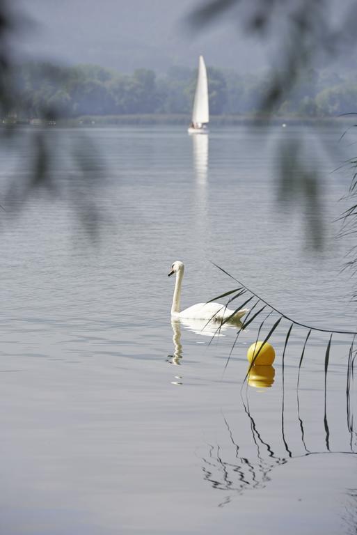 Hotel Bora Hotsparesort Radolfzell am Bodensee Exteriör bild